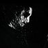 Dark death のアバター