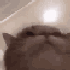 Avatar di tuwmi