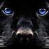 Avatar for ralphseger