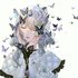 Avatar for Ciel
