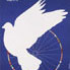 Avatar di radioaktive
