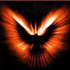 Avatar for ftm666