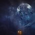Avatar for spookedgaze