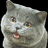 Avatar for no_u