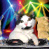 Avatar di andthelma