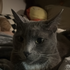 Avatar for gszablak