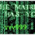 Avatar for v99
