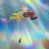 Avatar for brtkmc2