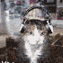Avatar for Gav777