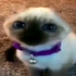 Avatar for SlugMuck47