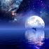 Avatar for NattyDolphin