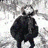 Avatar for L0siu666