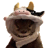 Avatar for mr_canard