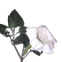 Avatar for tossici