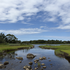 Avatar for gut-