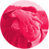 Avatar für pink_jjs