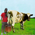Avatar for ok_calculator