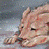 Avatar for Sudden_Strike
