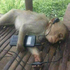 Avatar for anthropophobe