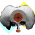 Avatar für Tenbearsmusic