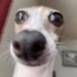 Avatar for epicgamer501
