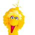 Avatar di b-bird