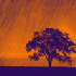 Avatar for Systm0fD0wn