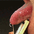 Avatar for Aesthete24
