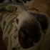 Avatar for chr0nch