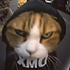 Avatar for Raubkopierah
