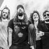 Awatar dla Melted Bodies