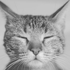 Avatar for zrk_zrk