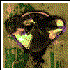 Avatar for artdrone