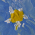 Avatar for seinundwerden
