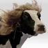 Avatar for mazaroony10