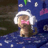 Avatar for noelaxma