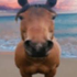 Avatar for awlden