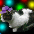 Avatar for floblinzanyato