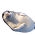Avatar for ftimetotime