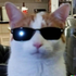 Avatar for ItsMario_2