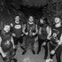 Avatar for Municipal Waste