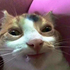 thiagou12 さんのアバター