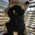 Avatar for st0ne_zone
