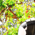 Avatar for lostlife