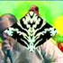 Avatar for yuyayuyon