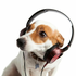 Avatar de jmbs2020