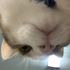 Avatar für Kiwi07_
