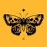 Avatar for Lunar_Waxwing