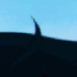 Avatar for NZT3