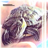Avatar for Ararita